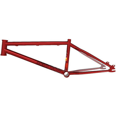 S&M Mad Dog frame 22